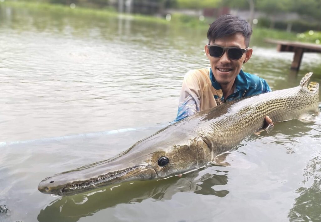 Fishing for Alligator Gar in Thailand