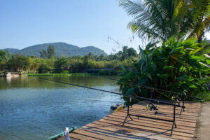 Koh Samui Fishing Lake