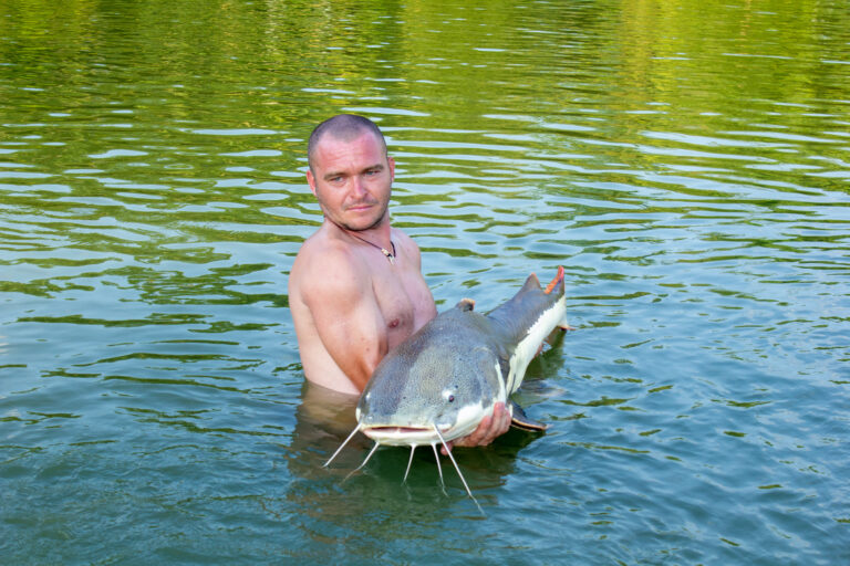 Catching River Monsters in Koh Samui