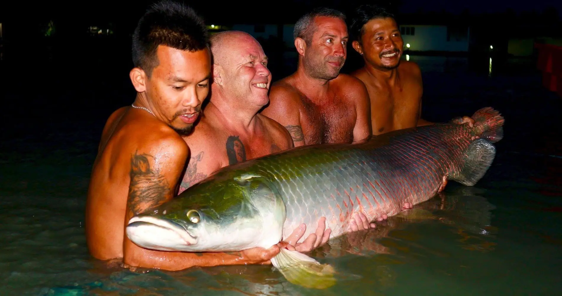 Arapaima | Our Fish | TopCats Fishing Resort | Fishing in Thailand