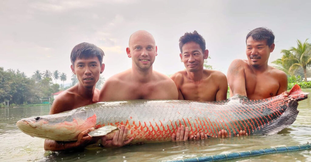 Arapaima Fishing Thailand