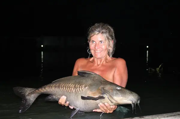 Ripsaw Catfish