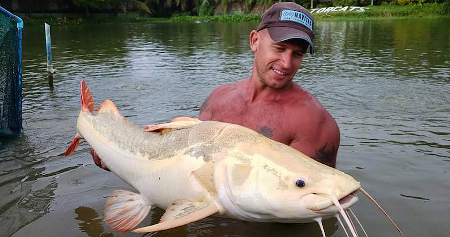 Rare Catfish in Thailand