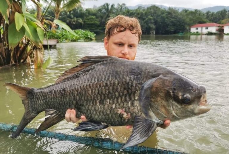 Rare Fish in Thailand