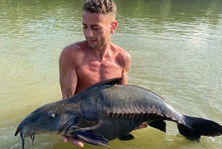 Great Fish