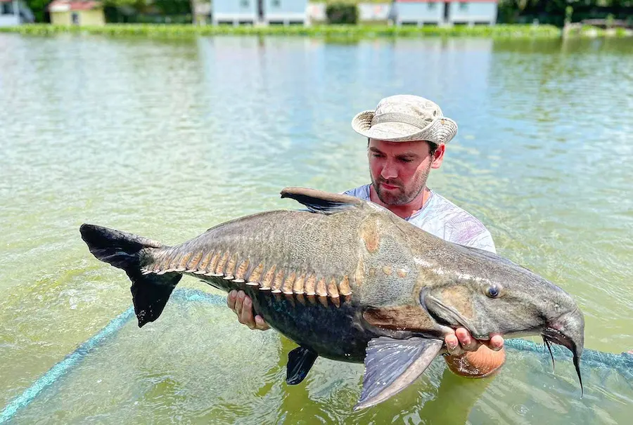 Big Fish Photo