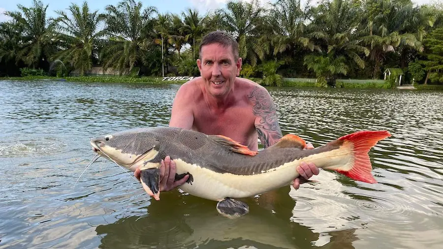 red tailed catfish river monsters