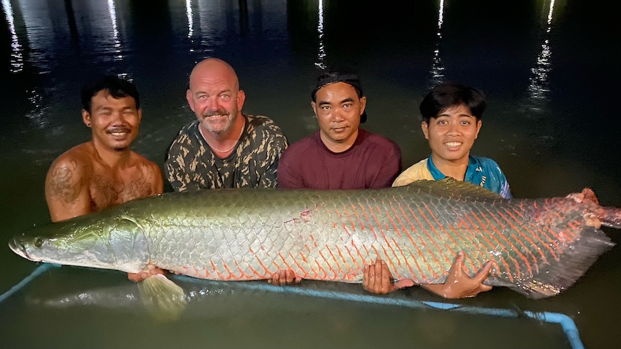 Large Arapaima caught in Samui