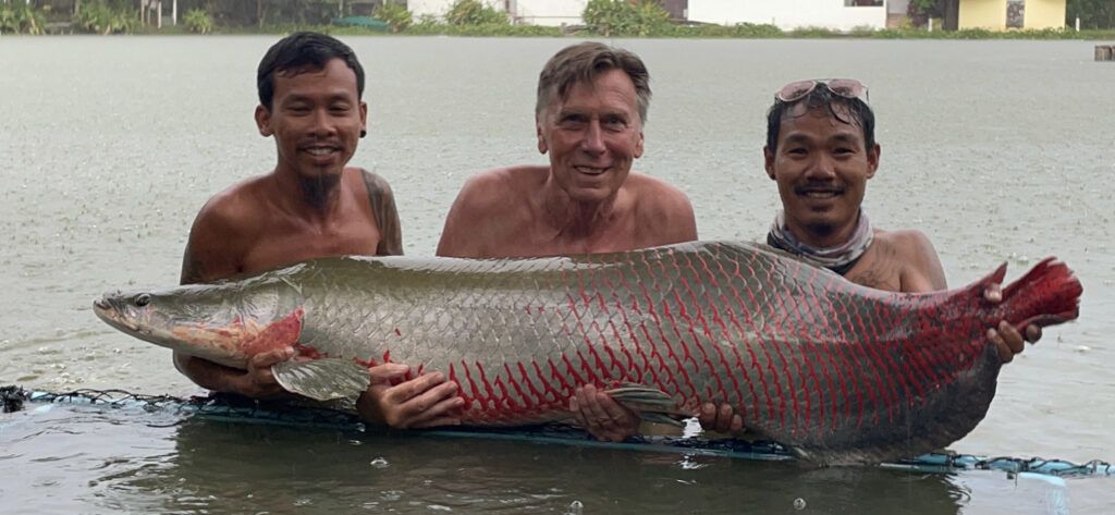 Big Fish in Thailand