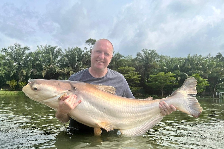 Mekong Catfish in Koh Samui