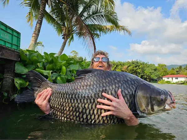 Gigantic carp