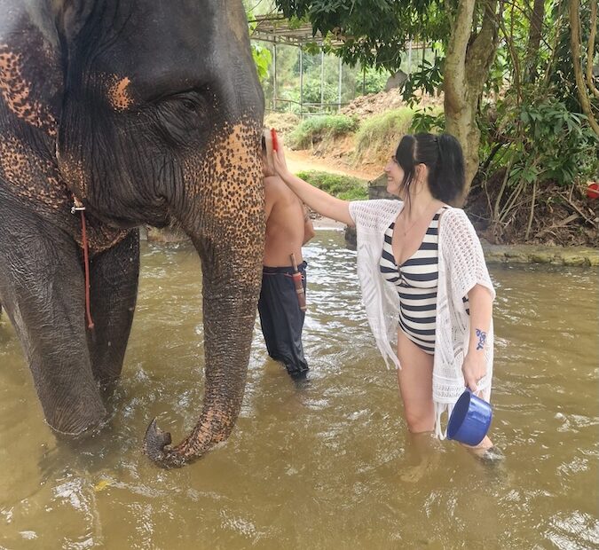 Koh Samui Wildlife Reserves