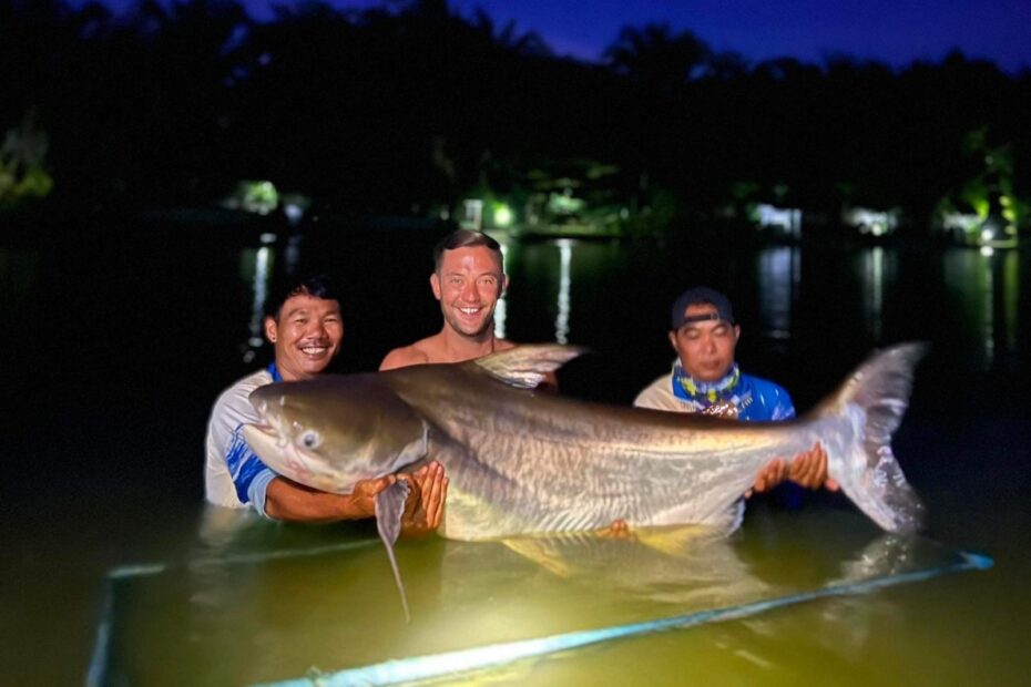 Gigantic Fish Samui