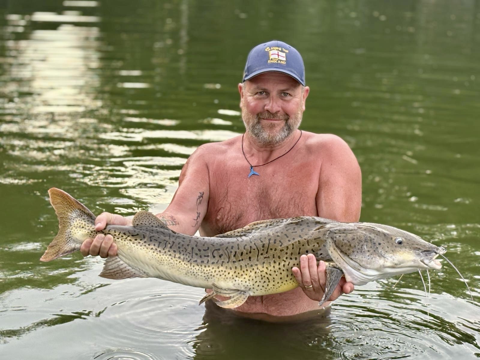 9d1e7c45-c5e2-4091-8102-39b2cae4c100