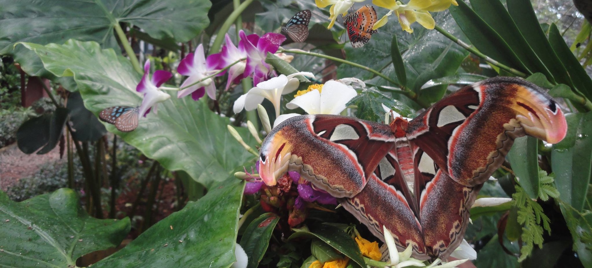 471400023_579668331353825_1436813008387232024_n