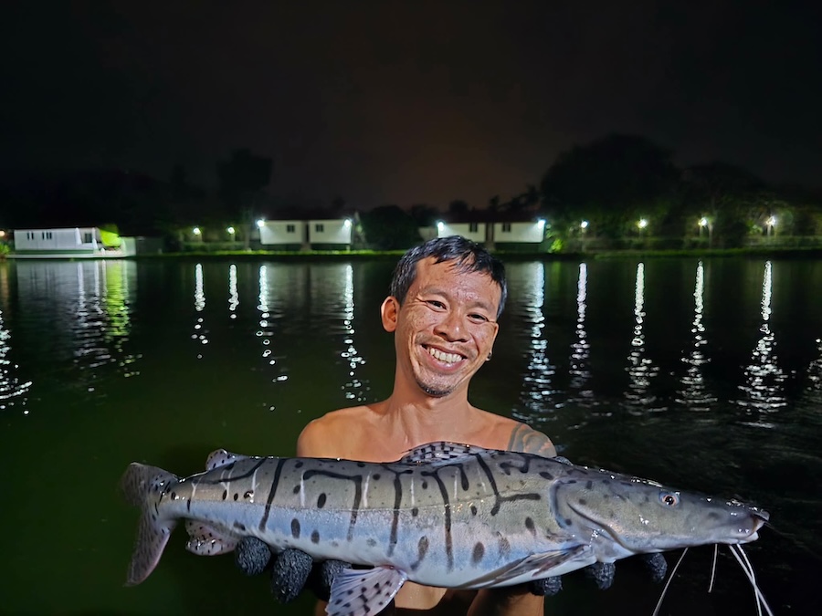 New Fish in Samui