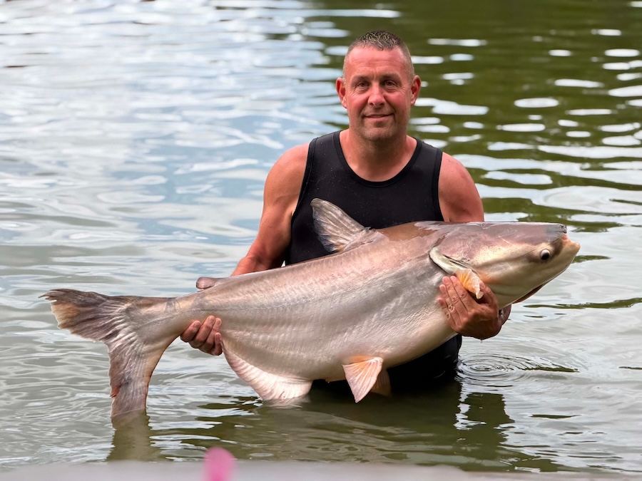 Catfish Samui