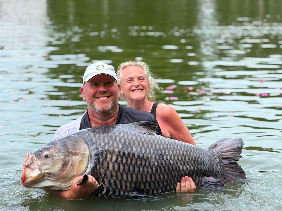 Nice Siamese Carp