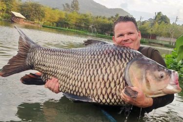 Giant Carp Fishing Thailand
