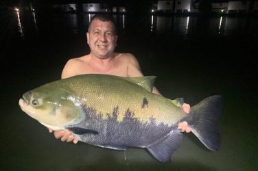 Massive River Monsters in Thailand